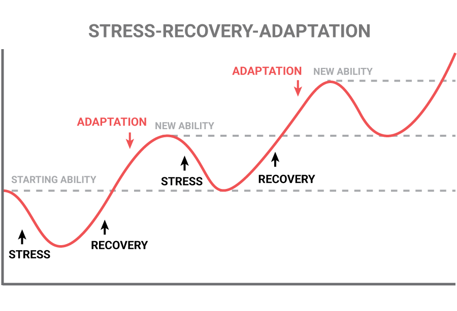 Athletic Performance Curve - Stress Recovery Adaptation Graph